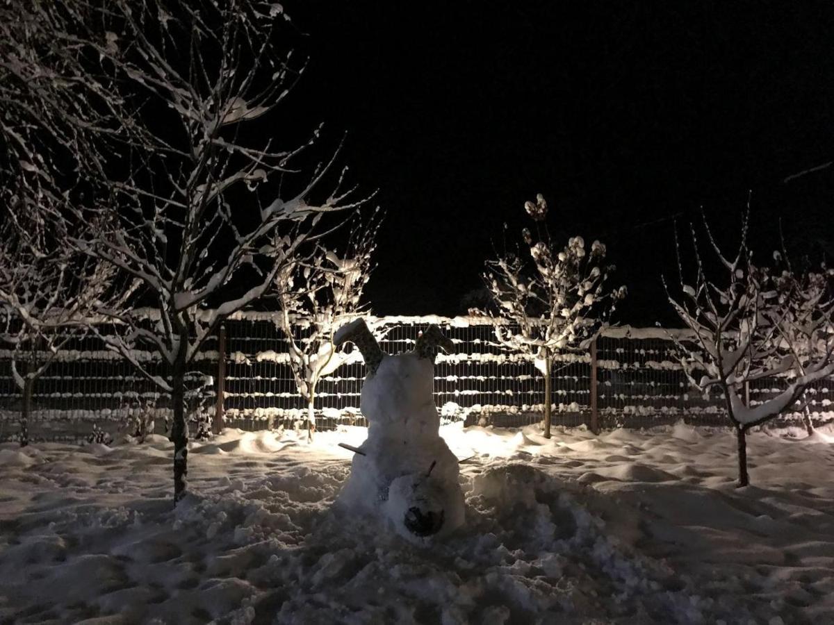 Cabana Jasmin Băile Chirui Exteriér fotografie