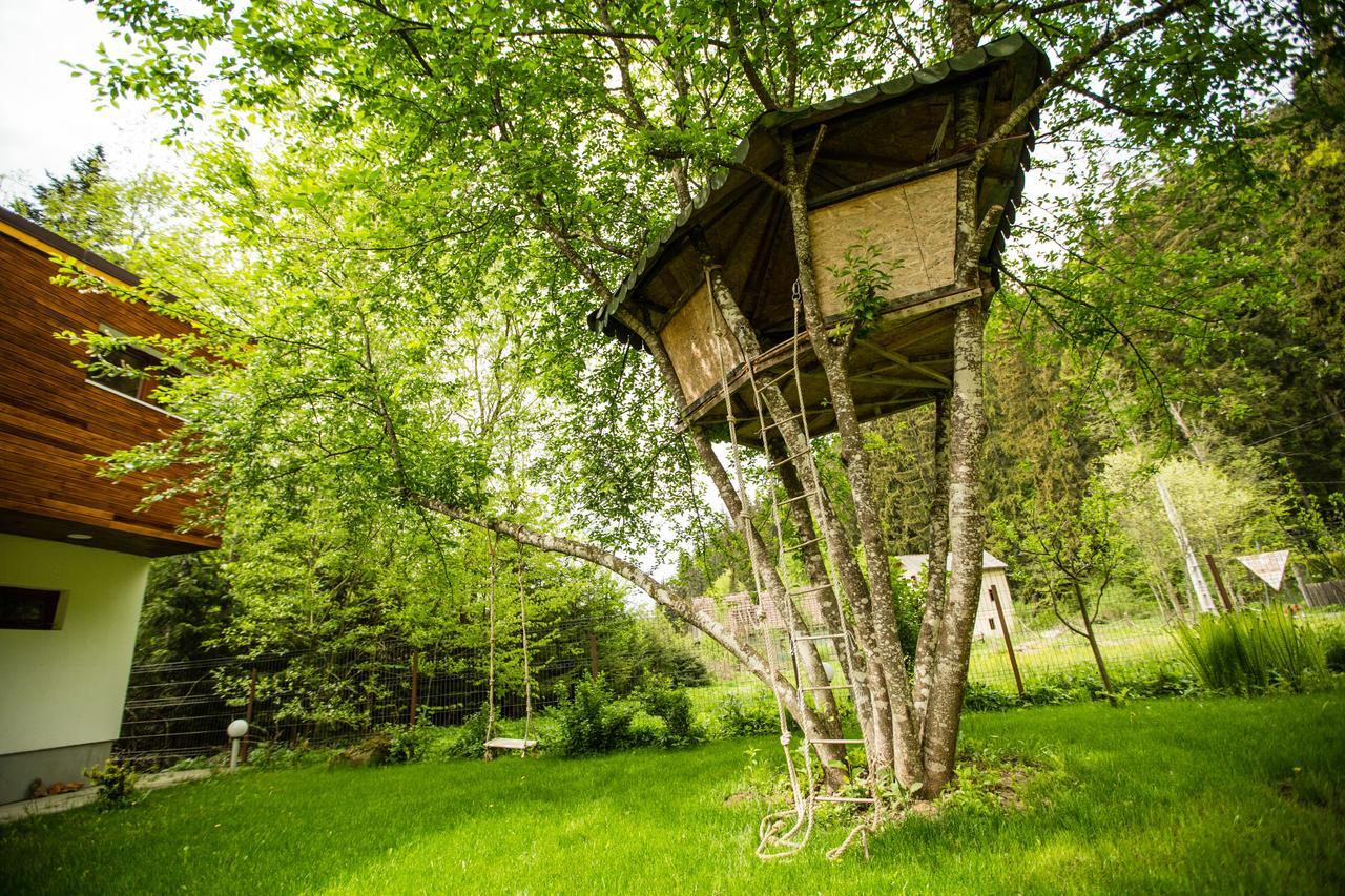 Cabana Jasmin Băile Chirui Exteriér fotografie